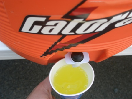 gatorade running gels gatorade running gels